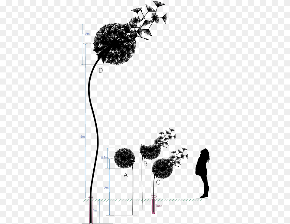 Dandelions Steel, Flower, Plant, Adult, Female Png