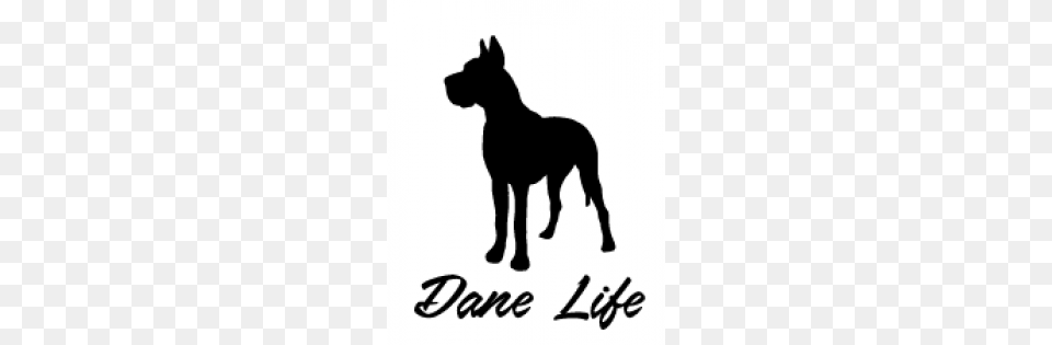 Dane Life, Silhouette, Animal, Canine, Dog Free Transparent Png