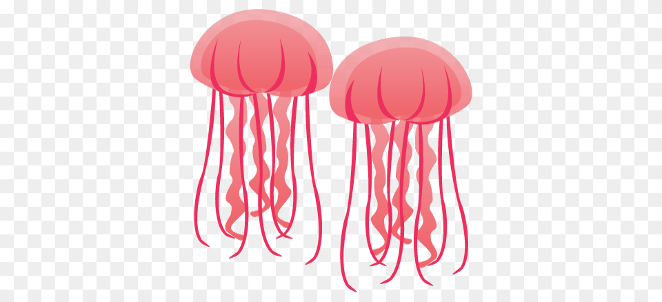 Dangerous Beach Creatures To Watch Out, Animal, Invertebrate, Jellyfish, Sea Life Free Transparent Png