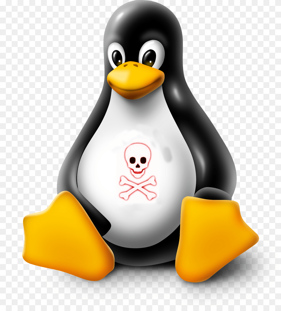 Dangerous Things We Should Not Do In Linux, Animal, Bird, Penguin, Nature Png Image