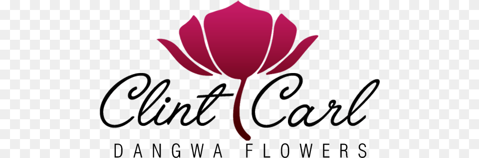Dangwa Flowers By Clint Carl California Honey Festival, Flower, Petal, Plant, Dahlia Png