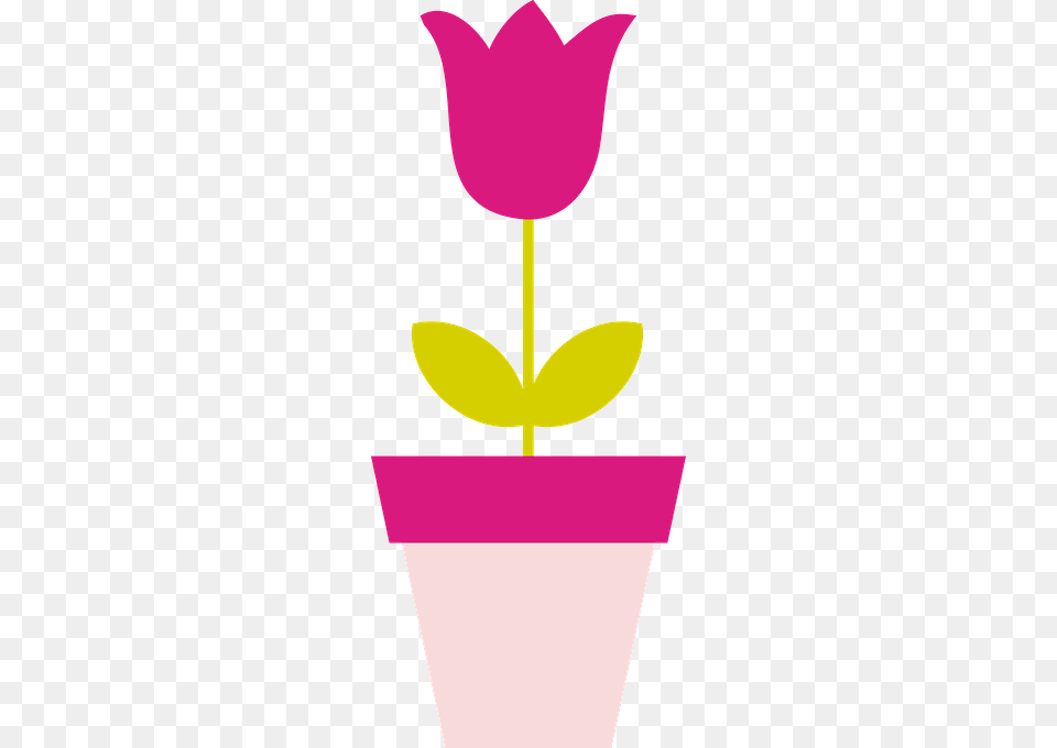 Dani Moraes, Flower, Petal, Plant Free Transparent Png