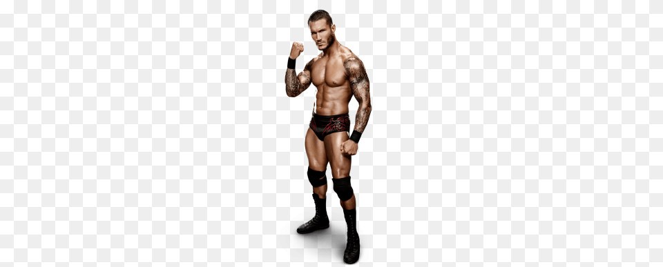 Daniel Bryan Vs Orton Set For Raw Wrestlingtec, Tattoo, Skin, Person, Body Part Free Png