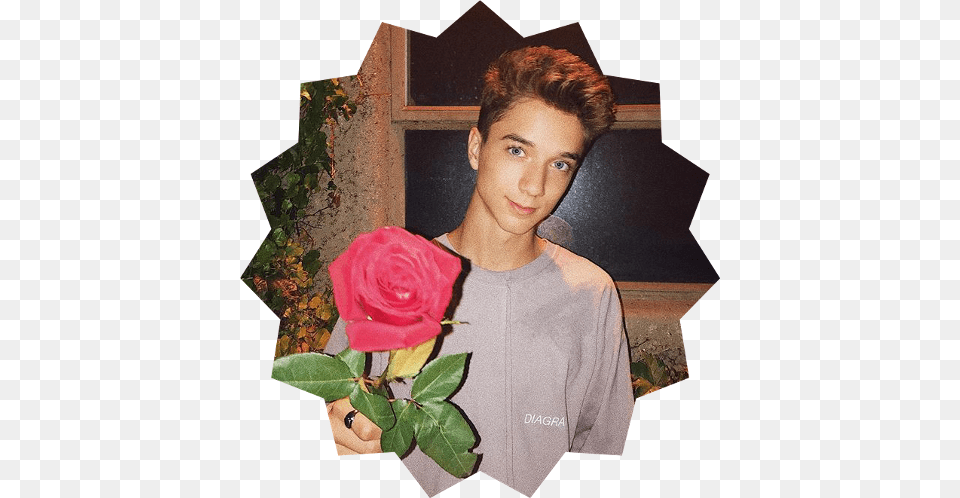 Daniel Seavey With Rose, Plant, Flower, Person, Head Png Image