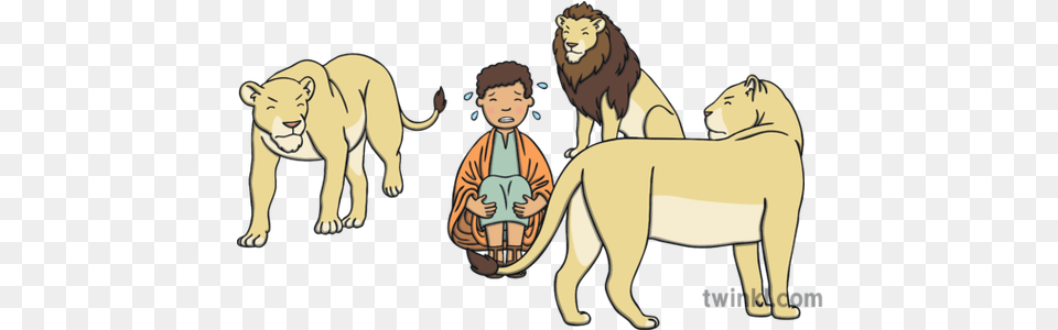 Daniel Surrounded By Angry Lions Illustration Twinkl Cartoon, Animal, Baby, Lion, Mammal Free Png Download
