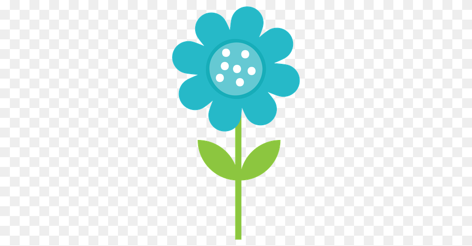 Danielle M, Anemone, Flower, Plant, Daisy Free Transparent Png