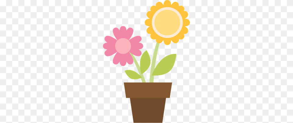 Danielle M, Daisy, Flower, Petal, Plant Free Transparent Png