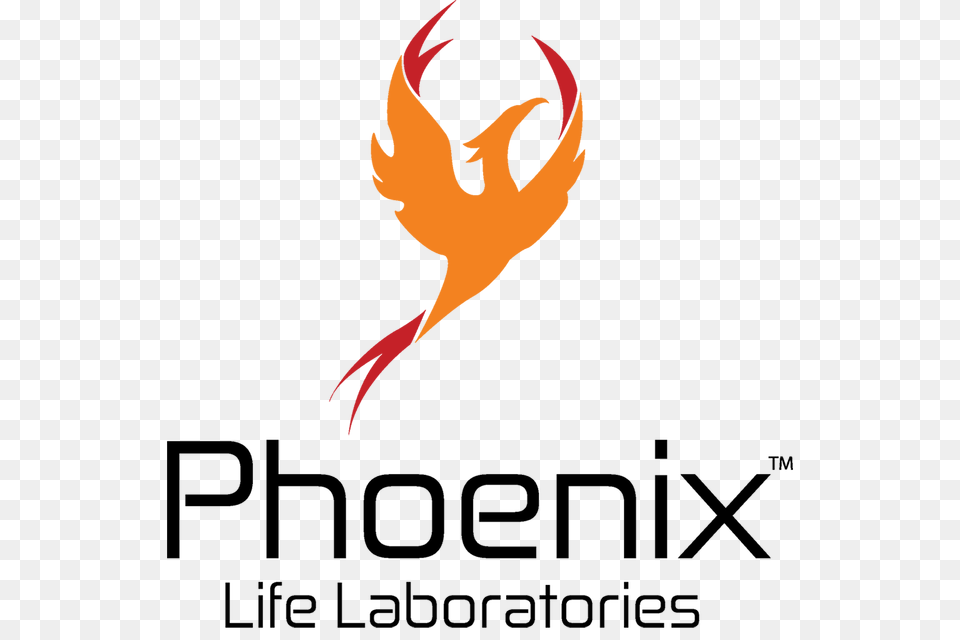 Danny Starr Art Phoenix Logo, Plant, Leaf, Outdoors, Nature Free Transparent Png