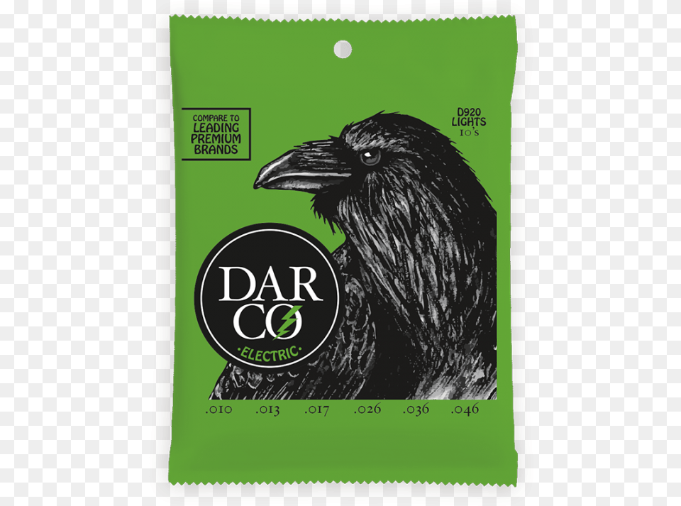 Darco Strings, Animal, Bird, Beak, Blackbird Free Png