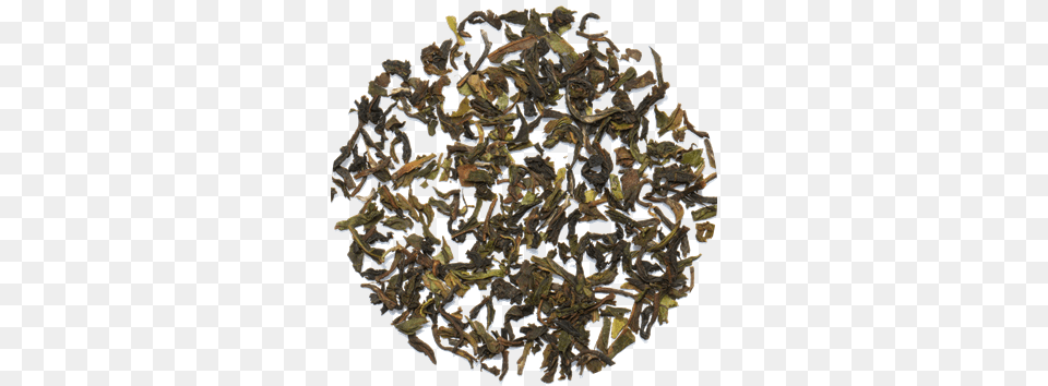 Darjeeling Tea Leaves Chaisafari Tea, Beverage, Chandelier, Lamp, Green Tea Free Png Download