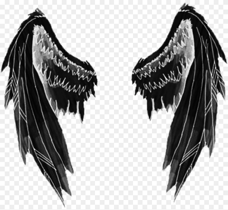 Dark Angel, Animal, Bird, Vulture, Person Free Png