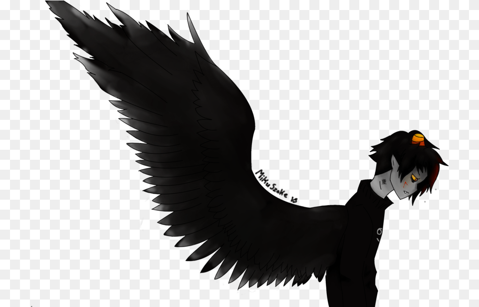 Dark Angel Bird Of Prey, Adult, Male, Man, Person Free Png