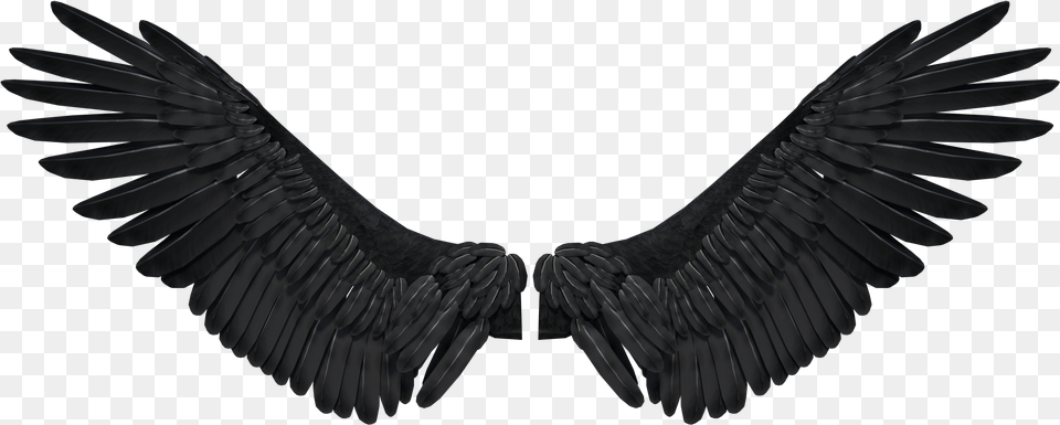 Dark Angel Wings Opening Front Language, Animal, Bird, Vulture, Condor Free Transparent Png