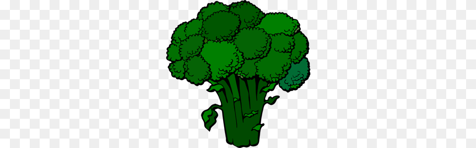 Dark Broccoli Clip Arts For Web, Food, Plant, Produce, Vegetable Free Png