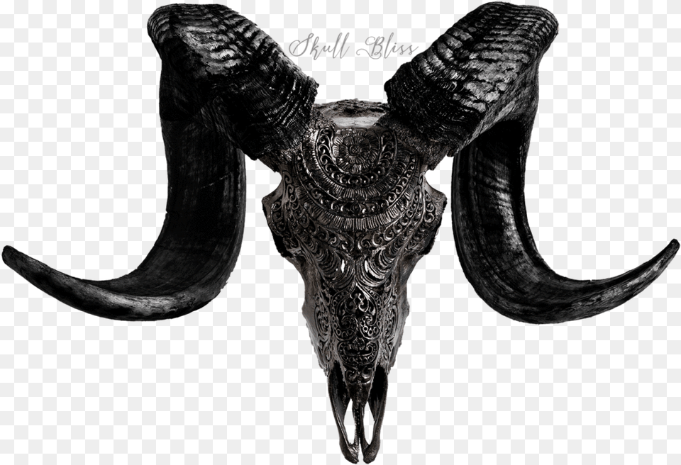 Dark Buffalo Skull, Animal, Bull, Mammal Png