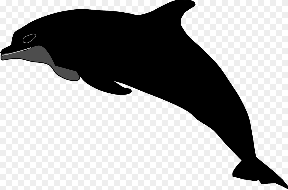 Dark Dolphin Clipart, Animal, Mammal, Sea Life, Fish Png Image