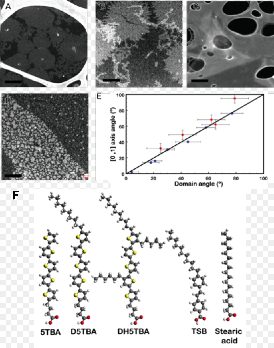 Dark Field Stem Images Showing The Morphology Of 5tba Diagram, Chart, Plot Png Image