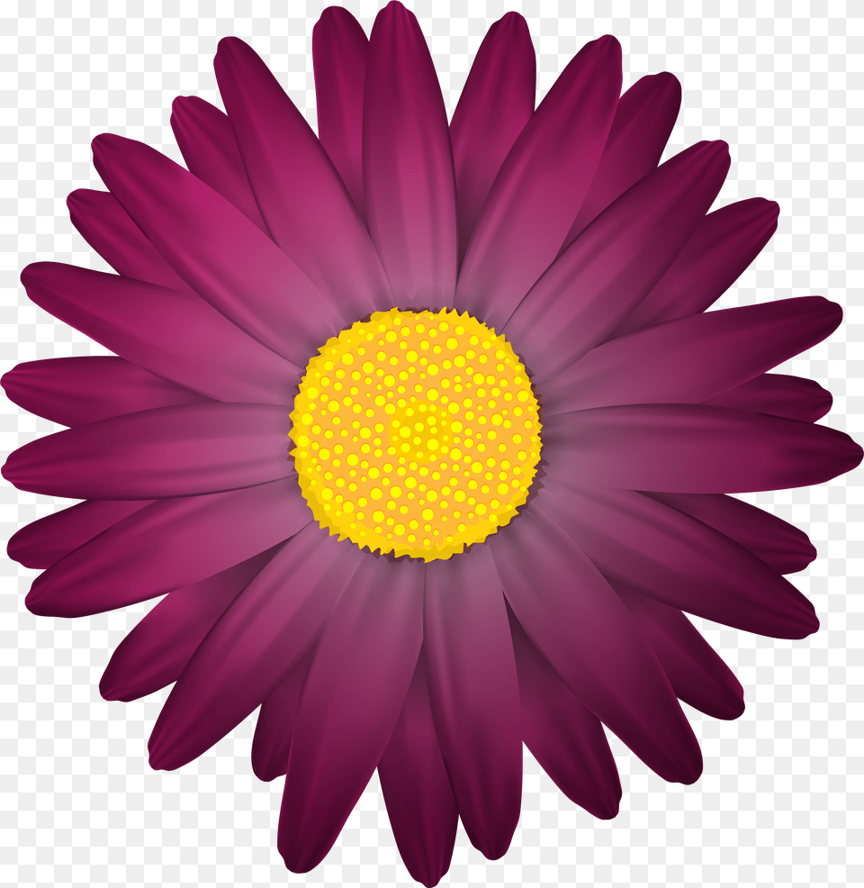 Dark Flower Clip Art Ima Dark Purple Flower Clip Art Free Transparent Png