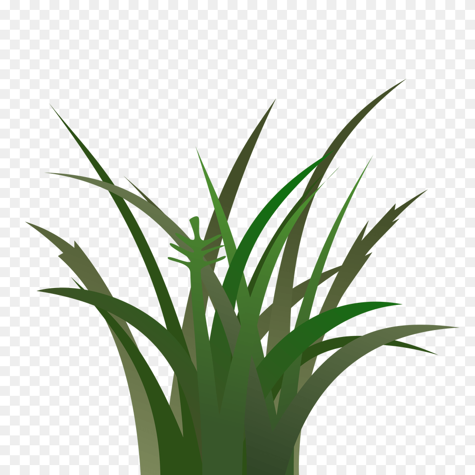 Dark Grass Icons, Green, Plant, Vegetation Free Png