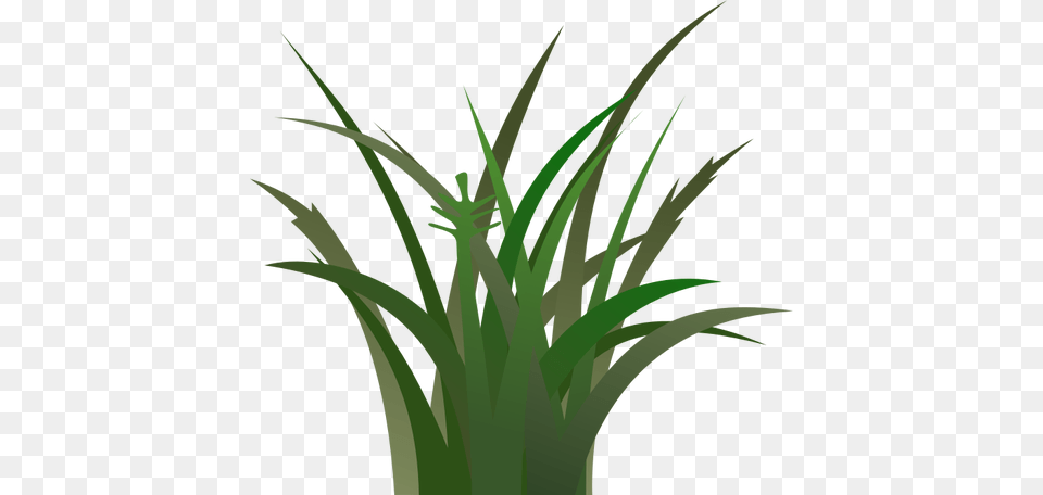 Dark Grass Vector Clip Art, Plant, Food, Leek, Produce Free Png