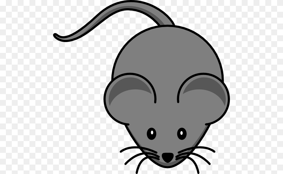 Dark Gray Mouse Clipart Mouse Clip Art, Animal, Mammal Png Image