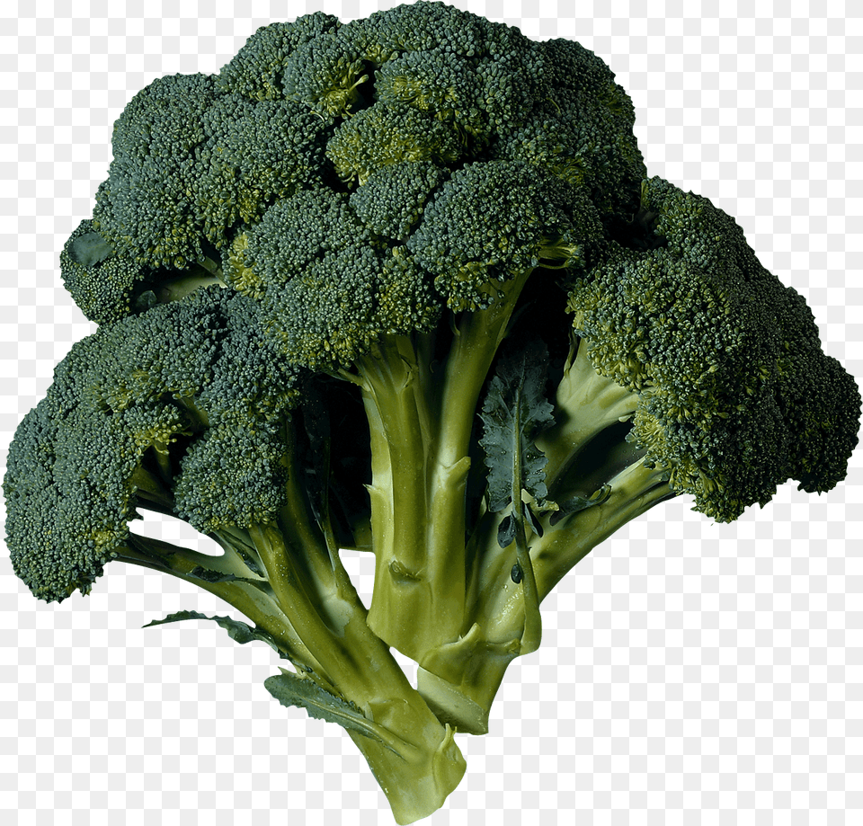 Dark Green Broccoli, Food, Plant, Produce, Vegetable Free Transparent Png