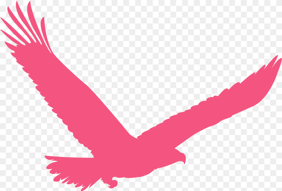 Dark Green Eagle Logo, Animal, Bird, Flying, Vulture Free Png