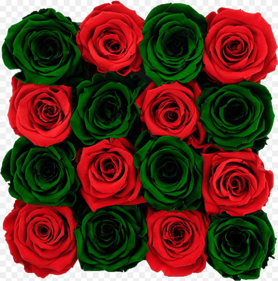 Dark Green Flowers Green Rose, Flower, Flower Arrangement, Flower Bouquet, Plant Png Image