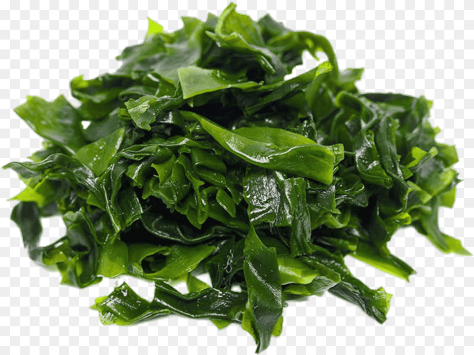 Dark Green Seaweed Seaweed, Plant, Food, Leafy Green Vegetable, Produce Png Image