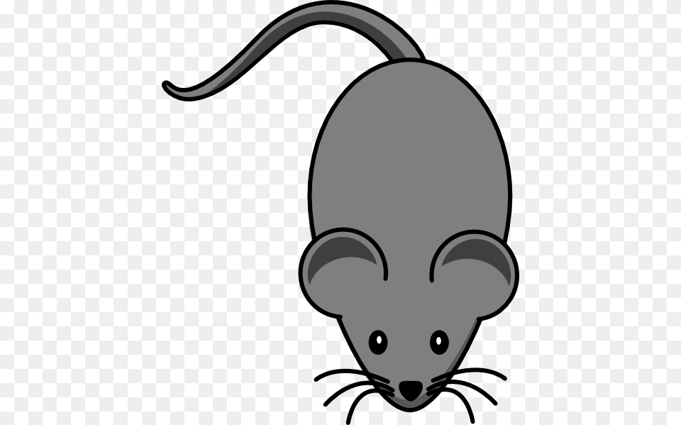 Dark Grey Lab Mouse Clip Arts For Web, Animal, Mammal, Ammunition, Grenade Free Png