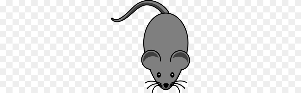 Dark Grey Lab Mouse Clip Arts For Web, Animal, Mammal, Computer Hardware, Electronics Png