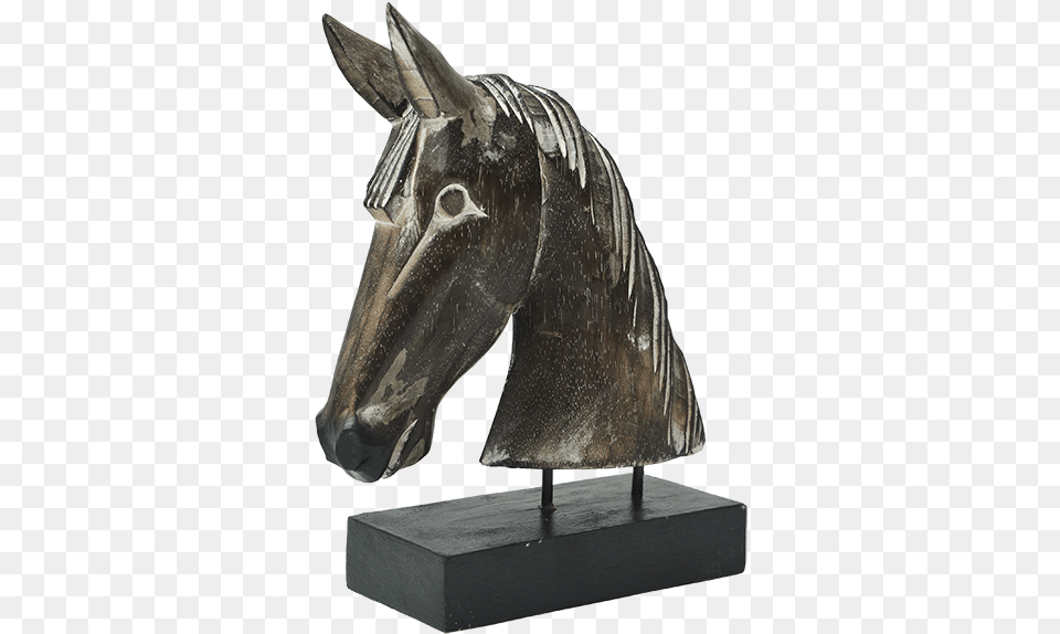Dark Horse Head Bronze Sculpture, Animal, Fish, Sea Life, Shark Free Png