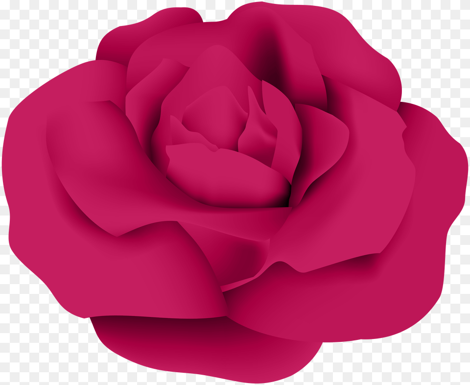 Dark Pink Rose Transparent Clip, Flower, Plant Png