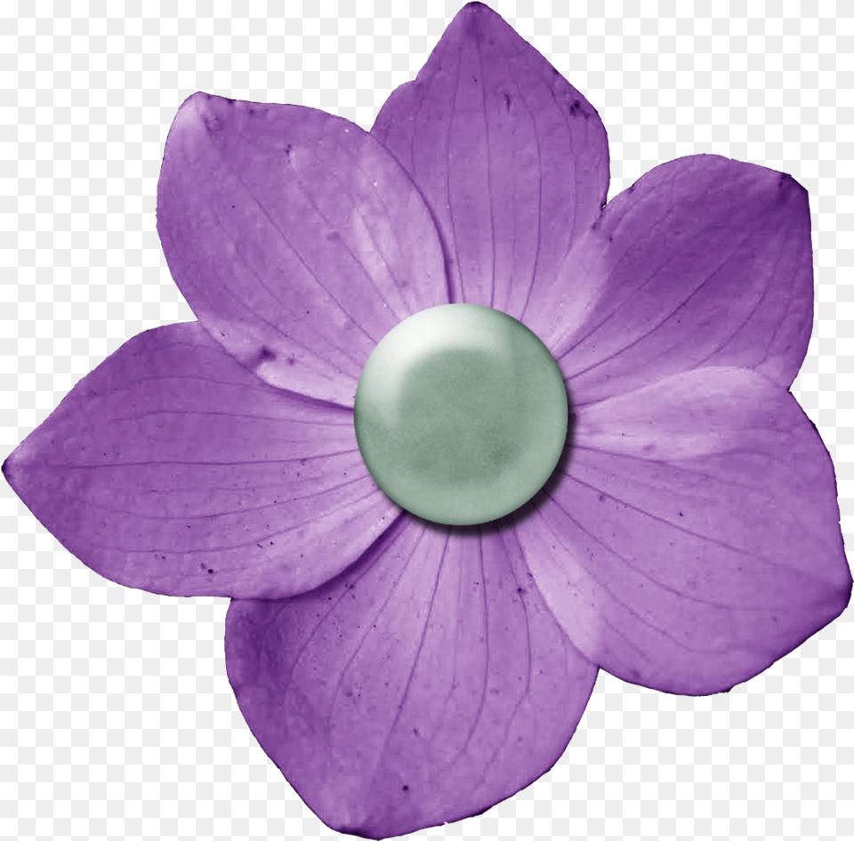 Dark Purple Flower Transparent Fleur Scrapbooking, Anemone, Geranium, Petal, Plant Free Png