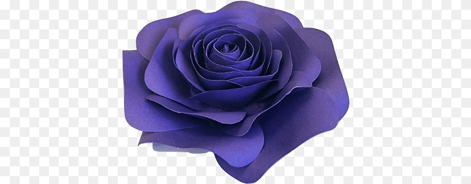 Dark Purple Paper Rose No Sell Garden Roses, Flower, Petal, Plant Free Png