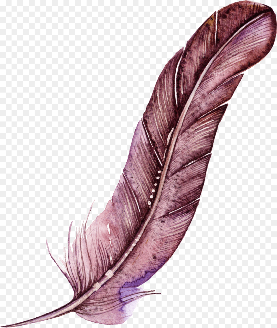 Dark Red Feather Cartoon Watercolor Beautiful Transparent Watercolor Transparent Feather, Bottle, Art, Ink Bottle Free Png Download