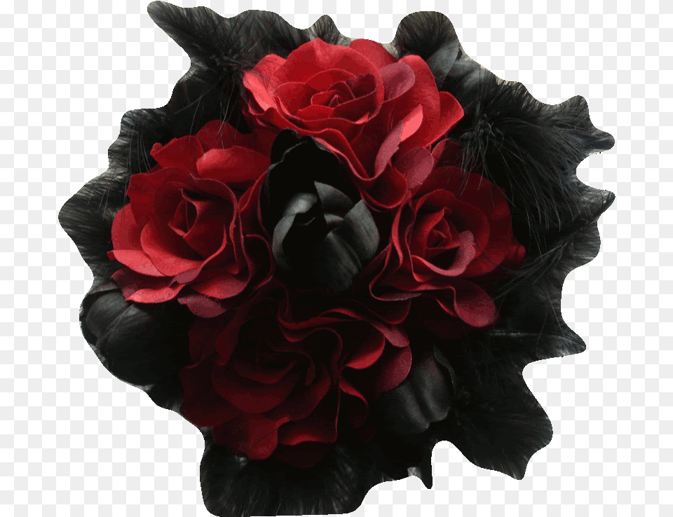 Dark Red Rose, Flower, Plant, Flower Arrangement, Flower Bouquet Png