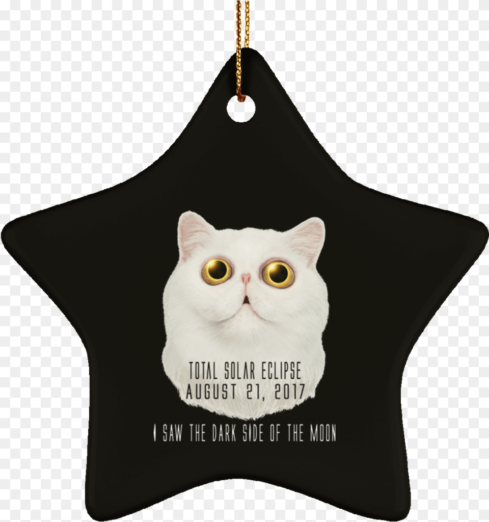 Dark Side Of The Moon, Accessories, Animal, Cat, Mammal Png Image