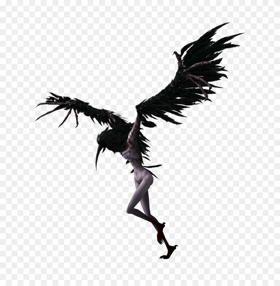 Dark Souls Crow Demon, Animal, Bird, Vulture, Adult Free Transparent Png