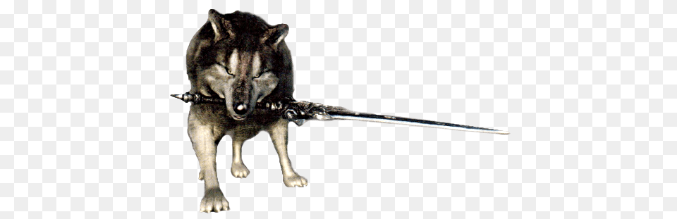 Dark Souls Dog, Animal, Pet, Mammal, Husky Free Png Download