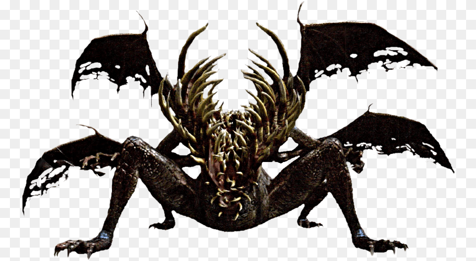 Dark Souls Wiki Dark Souls Boss, Dragon, Accessories, Animal, Insect Free Png