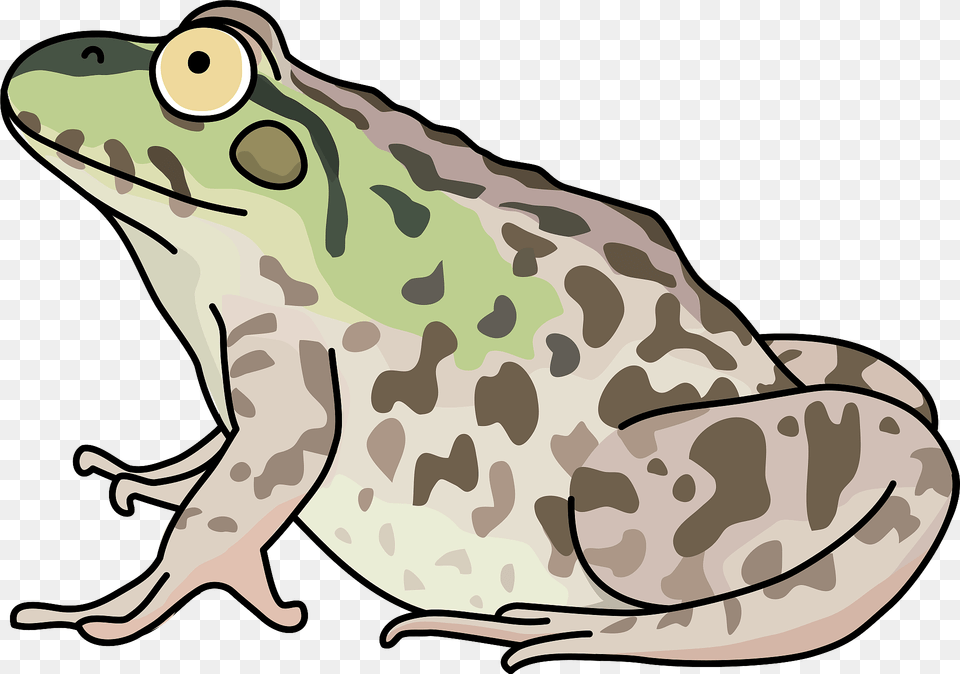 Dark Spotted Frog Clipart, Amphibian, Wildlife, Animal, Fish Free Png Download