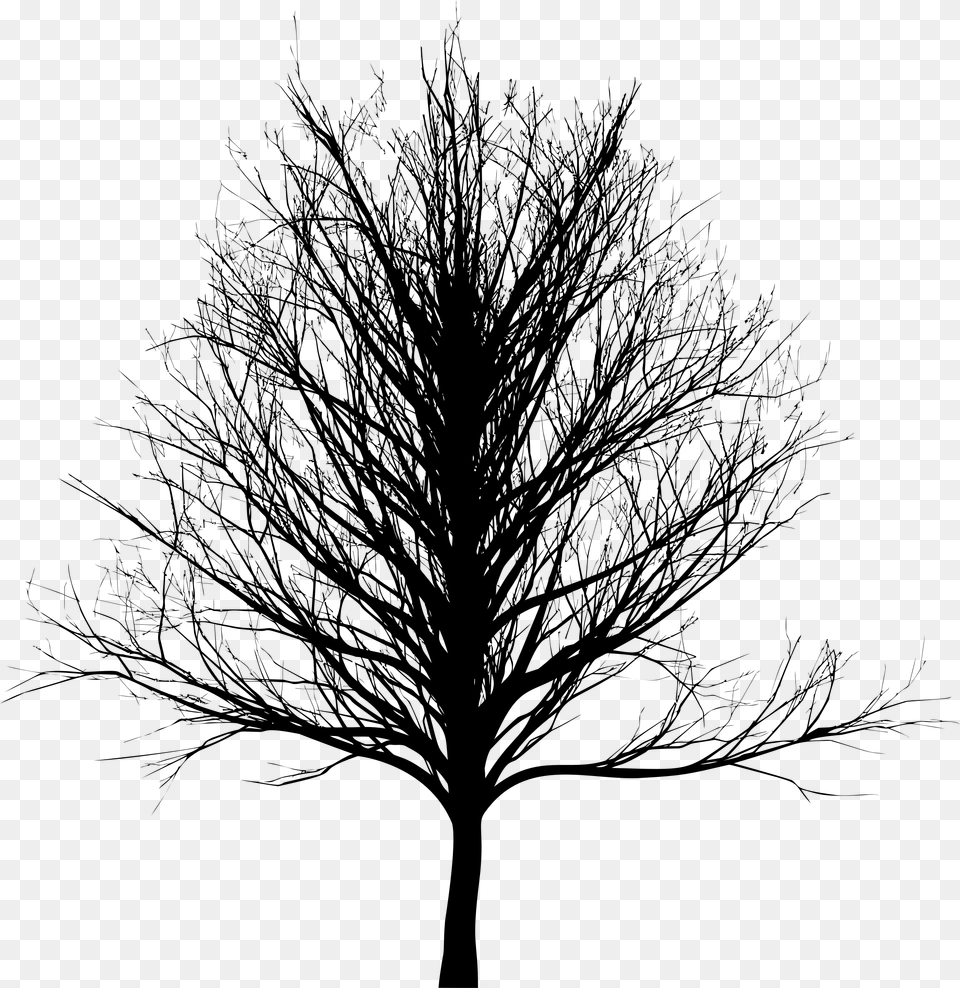 Dark Tree Line Art, Gray Free Png Download