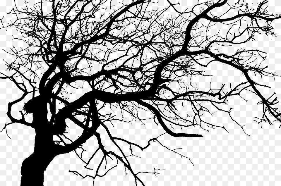 Dark Tree Spooky Tree Silhouette, Ice, Nature, Outdoors, Weather Free Transparent Png
