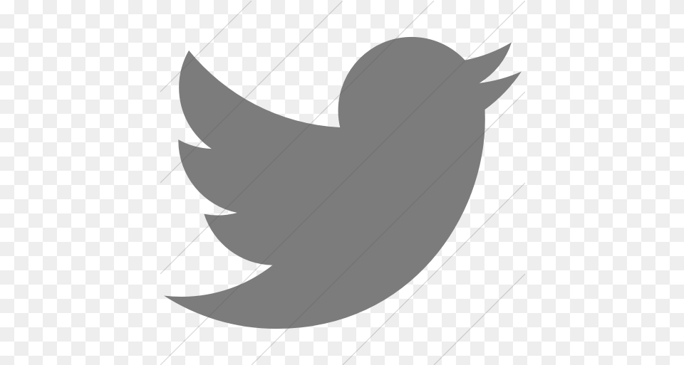Dark Twitter Logo Twitter Icon, Animal, Fish, Sea Life, Shark Png