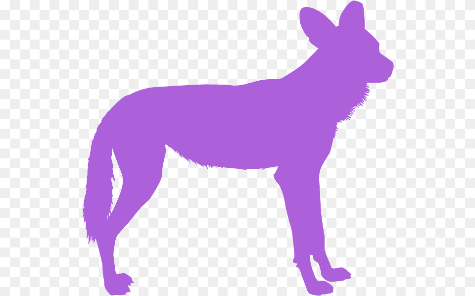 Dark Wild Dog Art, Animal, Mammal, Coyote, Kangaroo Free Transparent Png