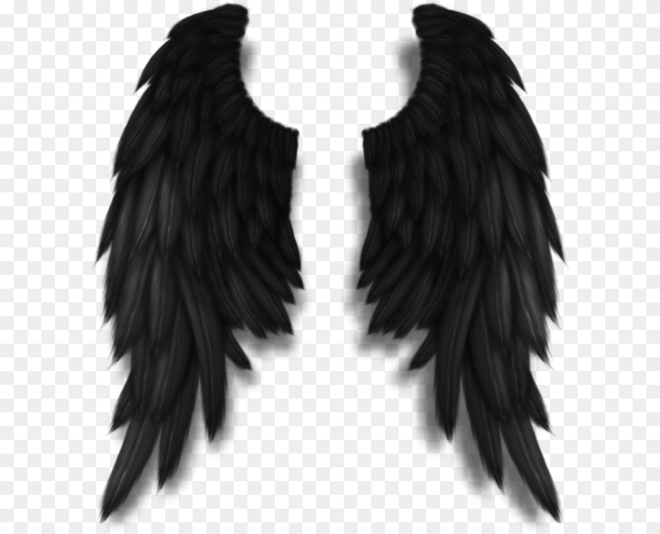 Darkangel Angelwings Angels Angel Wings Feathers Fly Black Angel Wings, Animal, Bird Free Png