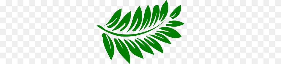 Darker Green Fern Clip Arts For Web, Herbal, Herbs, Leaf, Plant Png