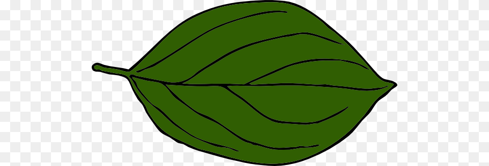 Darker Green Oval Leaf Clip Art, Plant, Clothing, Hardhat, Helmet Png