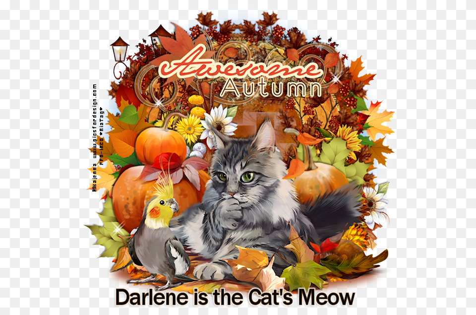 Darlene Is The Cat S Meow Co Thanksgiving, Advertisement, Poster, Plant, Leaf Free Transparent Png